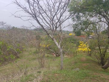 Venta Terreno 3.15 Has Via a La Costa Km 24