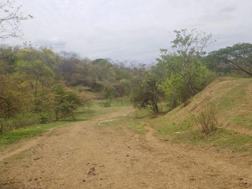 Venta Terreno 3.15 Has Via a La Costa Km 24