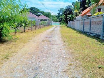 Land in San Sai for Sale Lot size 778 Sq.Wah