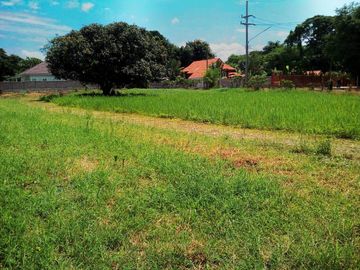 Land in San Sai for Sale Lot size 778 Sq.Wah