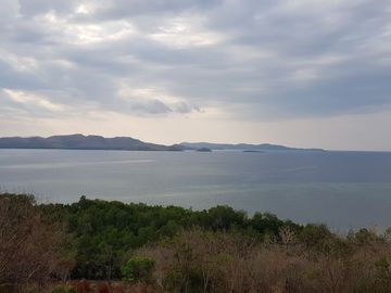 Dijual Kavling Desa Batu Cermin Manggarai Barat Nusa Tenggara Timur Luas Murah Lokasi Depan Resort Wae Watu International