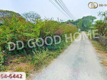 Land, San Sai District, 1 rai 75 sq w, Chiang Mai.