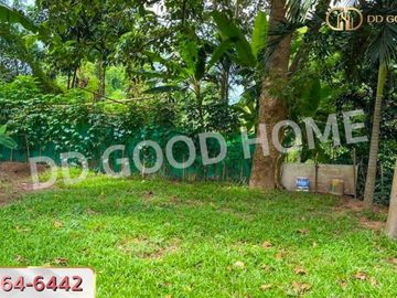 Land, San Sai District, 1 rai 75 sq w, Chiang Mai.