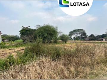 Venta 90.000 m² Via Al Pan - Samborondon, Km 1 a 200 m de La Vía; antes de pasar el puente alterno y el Peaje. uso Industrial
