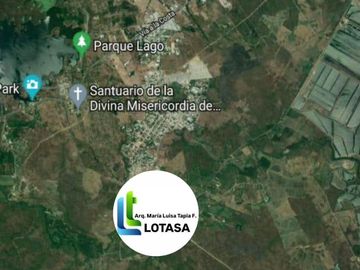 Venta 30 Has Via a La Costa Km. 24 Sector Chongon - Daular, terreno medianero, elevado más de 2.00 sobre el nivel de la vía, a pocos kms de futuro nuevo aeropuerto.