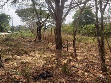 Venta 30 Has Via a La Costa Km. 24 Sector Chongon - Daular, terreno medianero, elevado más de 2.00 sobre el nivel de la vía, a pocos kms de futuro nuevo aeropuerto.