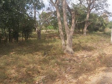 Venta 30 Has Via a La Costa Km. 24 Sector Chongon - Daular, terreno medianero, elevado más de 2.00 sobre el nivel de la vía, a pocos kms de futuro nuevo aeropuerto.