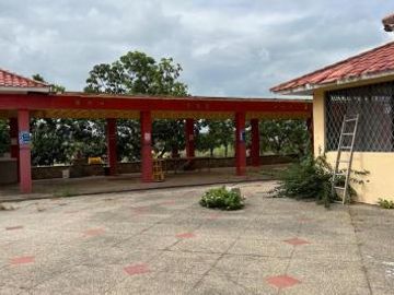 Venta Hacienda de 123.20 Has, Via a La Costa, Km 24 Chongon - Daular