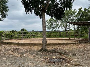 Venta Hacienda de 123.20 Has, Via a La Costa, Km 24 Chongon - Daular