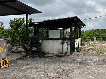 Venta Hacienda de 123.20 Has, Via a La Costa, Km 24 Chongon - Daular