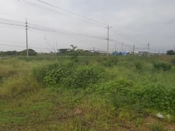 Venta 18.7 Has Vía Al Pan - Samborondon. diagonal al monumento Yunez, a 200 m del peaje
