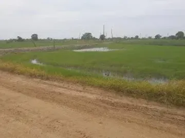 Venta 18.7 Has Vía Al Pan - Samborondon. diagonal al monumento Yunez, a 200 m del peaje