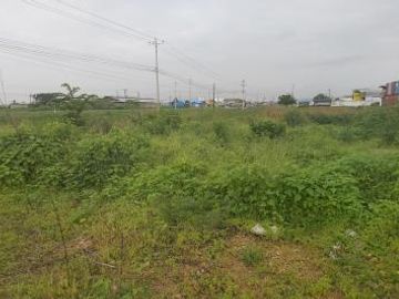Venta 18.7 Has Vía Al Pan - Samborondon. diagonal al monumento Yunez, a 200 m del peaje