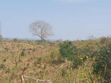 Venta 24.67 Has Via  Costa Km 118 Frente Comuna San Vicente, Prov. Sta Elena
