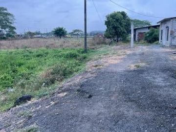 Venta 2.65 ha. Nobol, diagonal al redondel de la Narcisa de Jesús