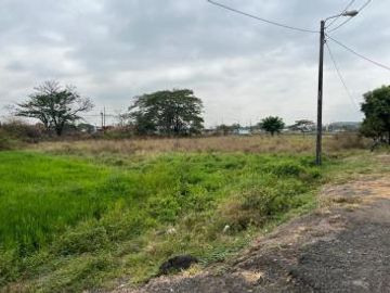 Venta 2.65 ha. Nobol, diagonal al redondel de la Narcisa de Jesús
