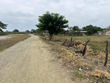 Venta 2.65 ha. Nobol, diagonal al redondel de la Narcisa de Jesús