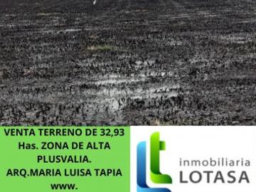 Venta Terreno 32,93 Has Al Pan Km 10