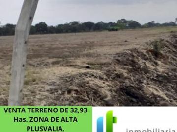 Venta Terreno 32,93 Has Al Pan Km 10