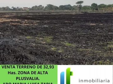 Venta Terreno 32,93 Has Al Pan Km 10