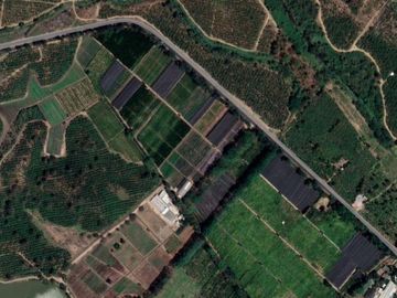 Venta Hcda. 94 Has, Cerecita, Via a La Costa Km. 52 en la Vía Safando