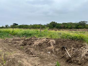 Venta Hcda. 94 Has, Cerecita, Via a La Costa Km. 52 en la Vía Safando