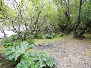 Exclusiva parcela en Ecoparque Hacienda Los Cipreses, Pucón