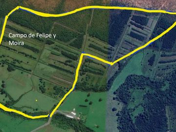 VENDO 51 HECTAREAS, CERCA DE PUERTO AYSEN, COMUNA DE AYSEN. REGION CARLOS IBAÑEZ DEL CAMPO