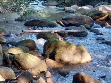 Tarapoto es la ciudad más SEGURA del país para mudarse y comenzar una nueva vida.