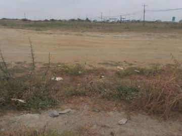 Venta 6 Has Via Al Pan-Yaguachi cerca de Max-Drive, esta aprox. a 150 m de la Via, tiene 200m de frente