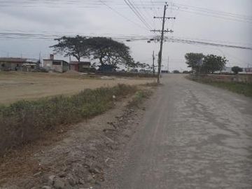 Venta 6 Has Via Al Pan-Yaguachi cerca de Max-Drive, esta aprox. a 150 m de la Via, tiene 200m de frente