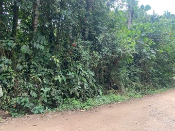 Venta terreno Mindo 2 HC  a pocos metros del parque de Mindo