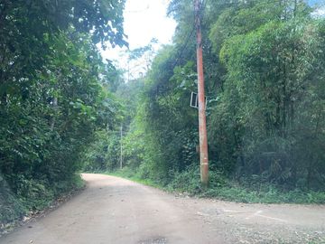Venta terreno Mindo 2 HC  a pocos metros del parque de Mindo