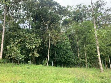 Venta terreno Mindo 2 HC  a pocos metros del parque de Mindo