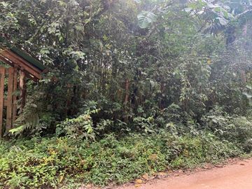 Venta terreno Mindo 2 HC  a pocos metros del parque de Mindo