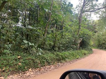 Venta terreno Mindo 2 HC  a pocos metros del parque de Mindo