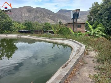 Terreno con casa de campo en Mascarilla sector Pambacienda, 16.000 m2