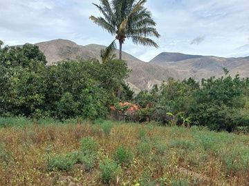 Terreno con casa de campo en Mascarilla sector Pambacienda, 16.000 m2