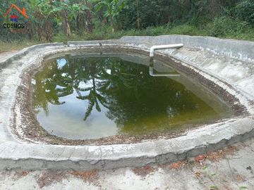 Terreno con casa de campo en Mascarilla sector Pambacienda, 16.000 m2