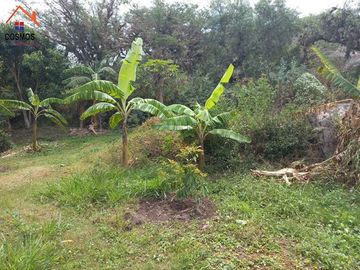 Terreno con casa de campo en Mascarilla sector Pambacienda, 16.000 m2
