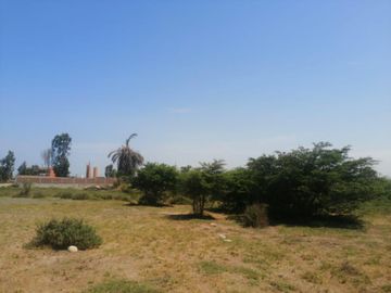 VENDO TERRENO DE 62,490 M2EN PREDIO PICHINGA SAN MIGUEL - PISCO -ICA