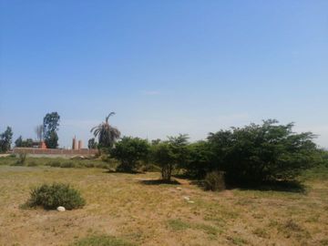 VENDO TERRENO DE 62,490 M2EN PREDIO PICHINGA SAN MIGUEL - PISCO -ICA