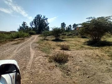 VENDO TERRENO DE 62,490 M2EN PREDIO PICHINGA SAN MIGUEL - PISCO -ICA