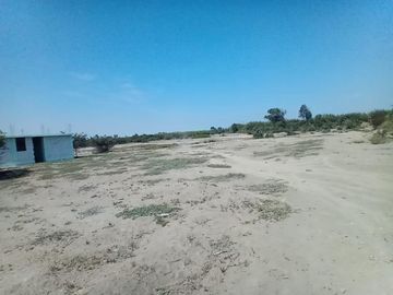 VENDO TERRENO DE 62,490 M2EN PREDIO PICHINGA SAN MIGUEL - PISCO -ICA