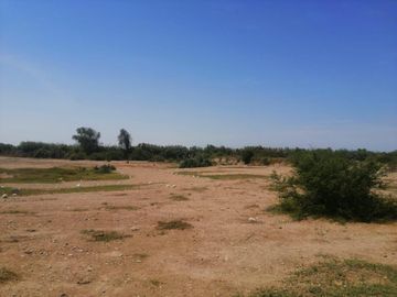 VENDO TERRENO DE 62,490 M2EN PREDIO PICHINGA SAN MIGUEL - PISCO -ICA