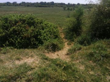 VENDO TERRENO DE 62,490 M2EN PREDIO PICHINGA SAN MIGUEL - PISCO -ICA