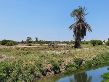 VENDO TERRENO DE 62,490 M2EN PREDIO PICHINGA SAN MIGUEL - PISCO -ICA