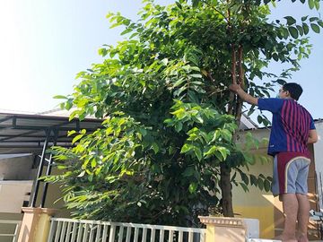 Rumah Dijual di Perumahan Savana Residence Tangerang Dekat Alun-Alun Tigaraksa