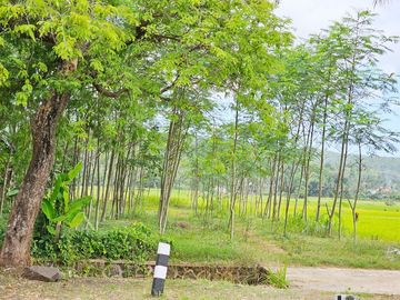Jual Tanah 2.455 m2 di Banyumas Jawa Tengah Dekat RSUD Banyumas, Alun-Alun Banyumas