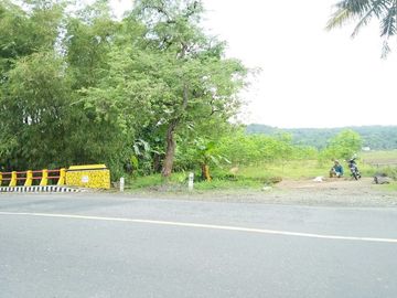 Jual Tanah 2.455 m2 di Banyumas Jawa Tengah Dekat RSUD Banyumas, Alun-Alun Banyumas